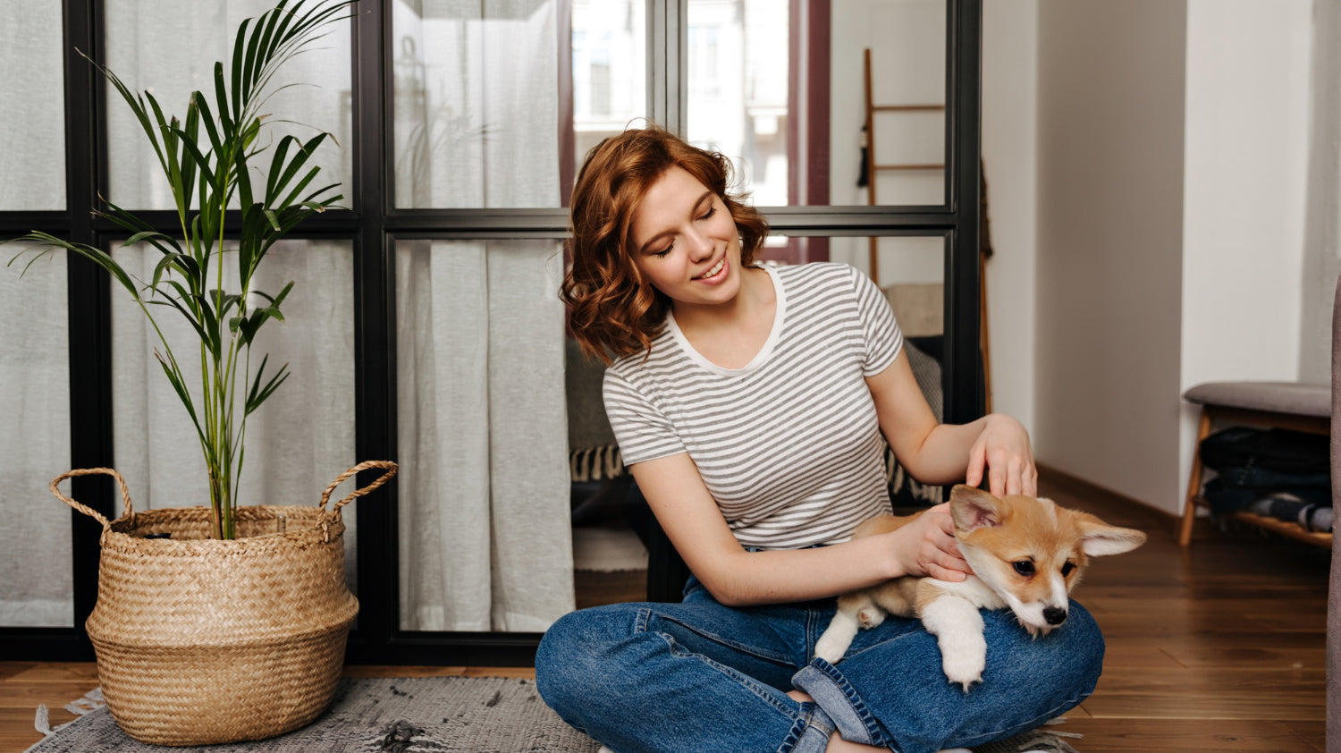 indoor plants in basket pot with woman holding dog