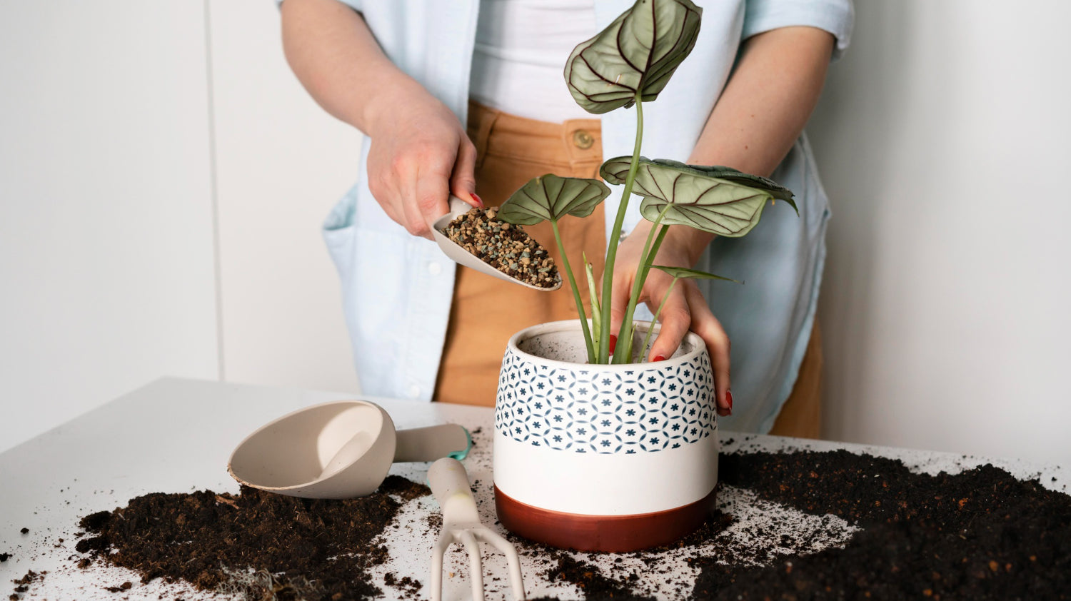 woman holding shovel with small pebbles to be put on potted plant - Plant Studio