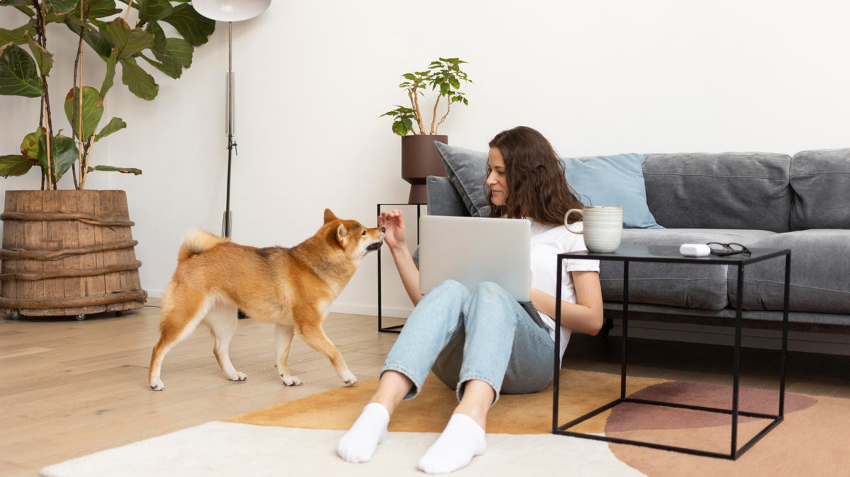 dog with owner in living room lying on the floor holding laptop - Plant Studio