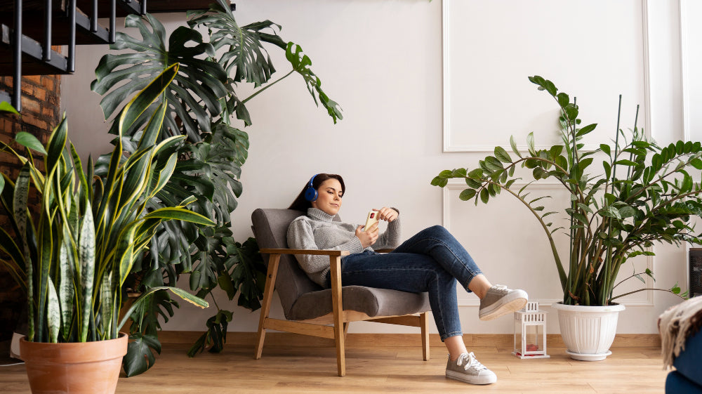 The Healing Power of Plant