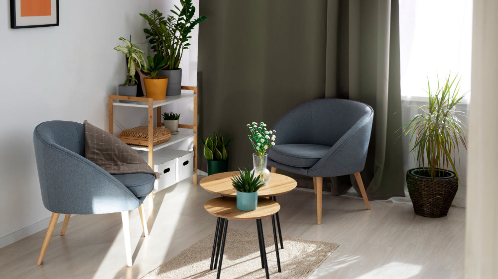 living room with plants