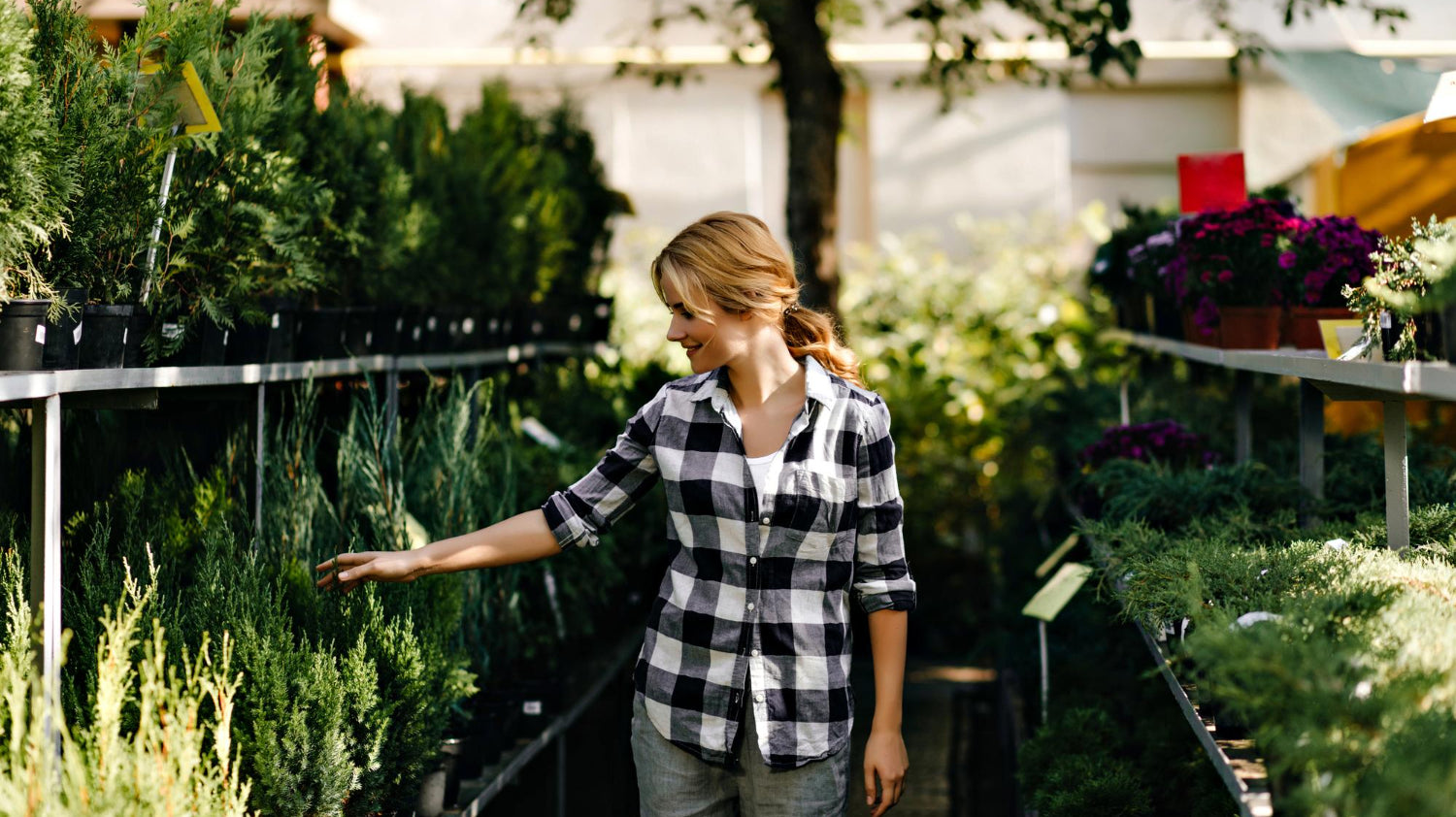 woman in black and white checkered shirt outside with many potted plants - Plant Studio