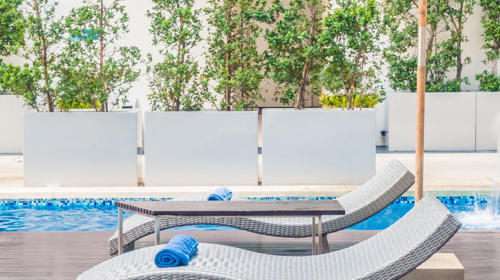 swimming pool with pool chairs and white umbrella and outdoor plants - Plant Studio