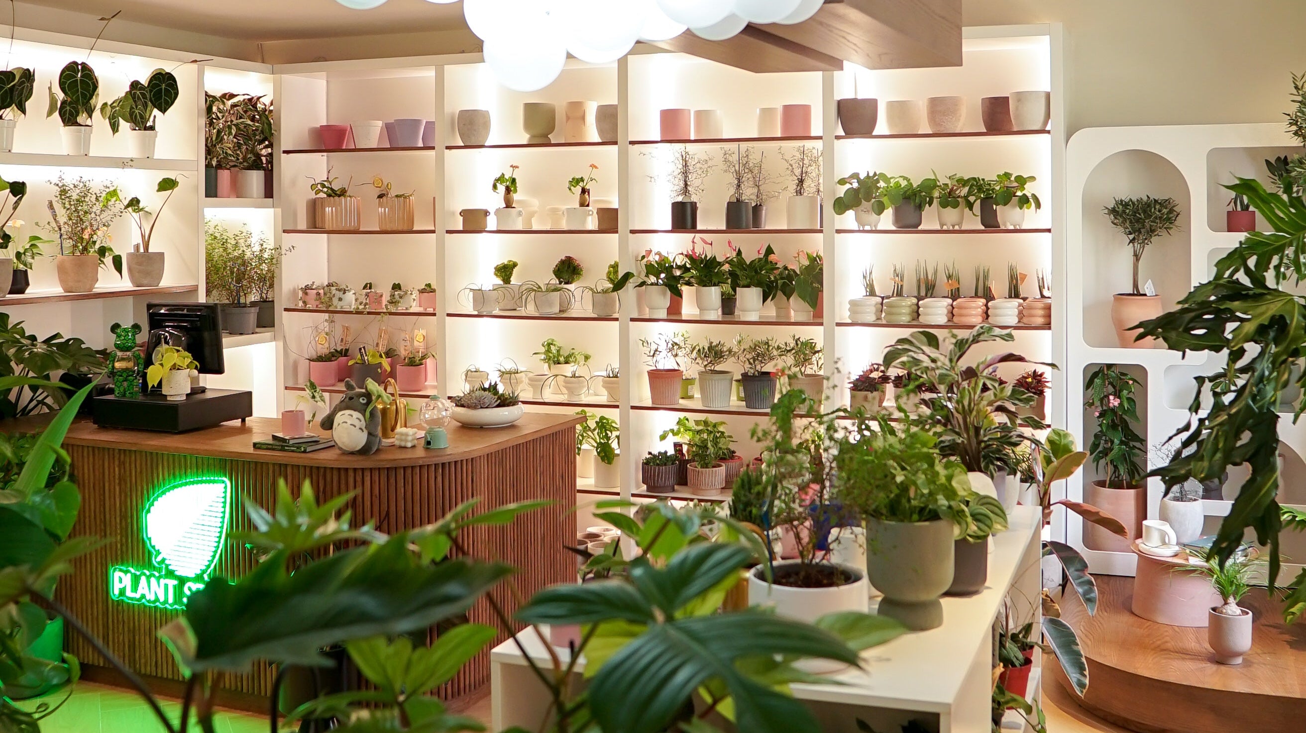 Plant Studio plant shop with many small potted plants and trees and well-lit