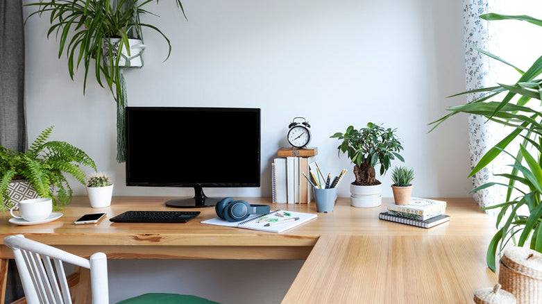 office desk with many plants surrounding - Plant Studio
