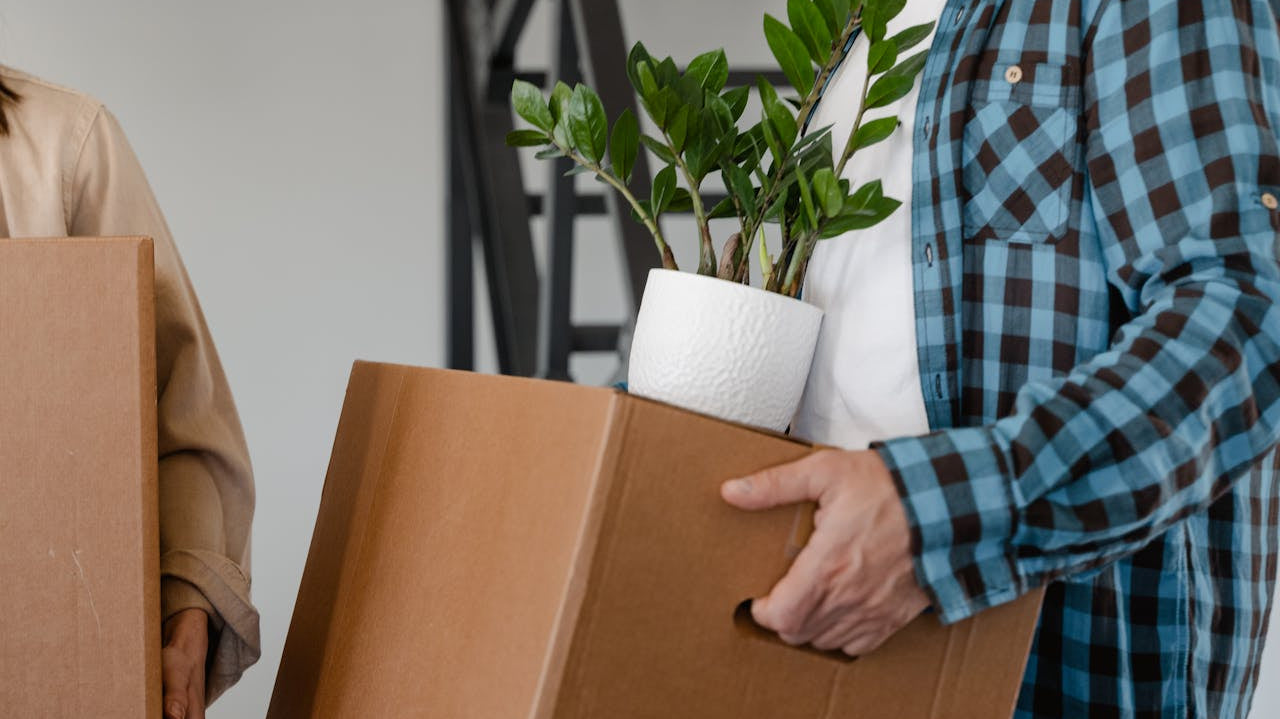 man carrying potted plant - Plant Studio