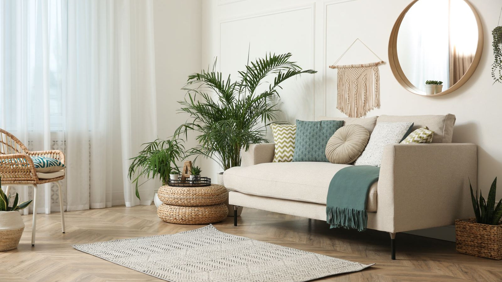 gray sofa with table and mirror on top with potted areca palm plant on the side - Plant Studio