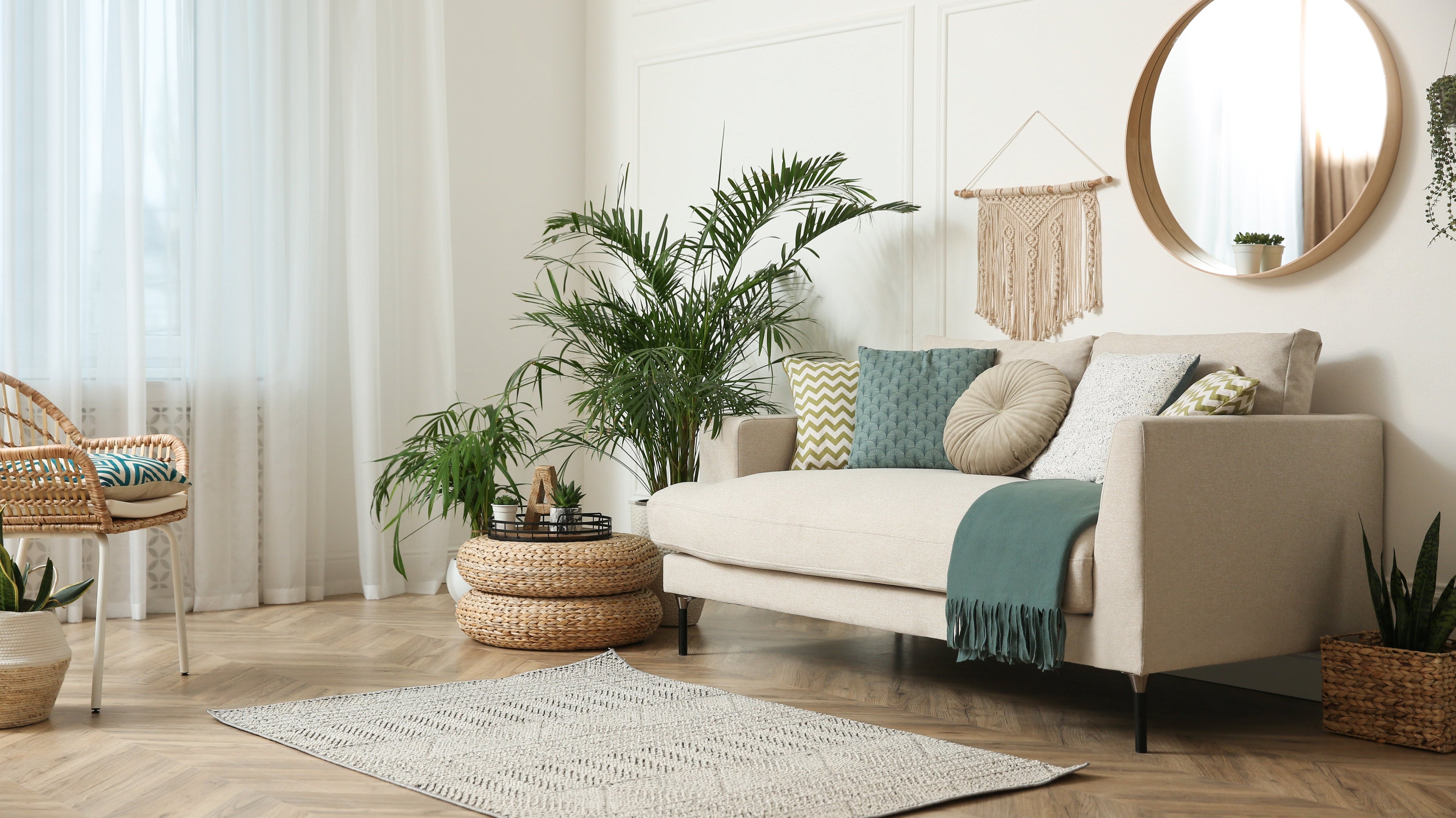 7 Things You Should Know About the Areca Palm