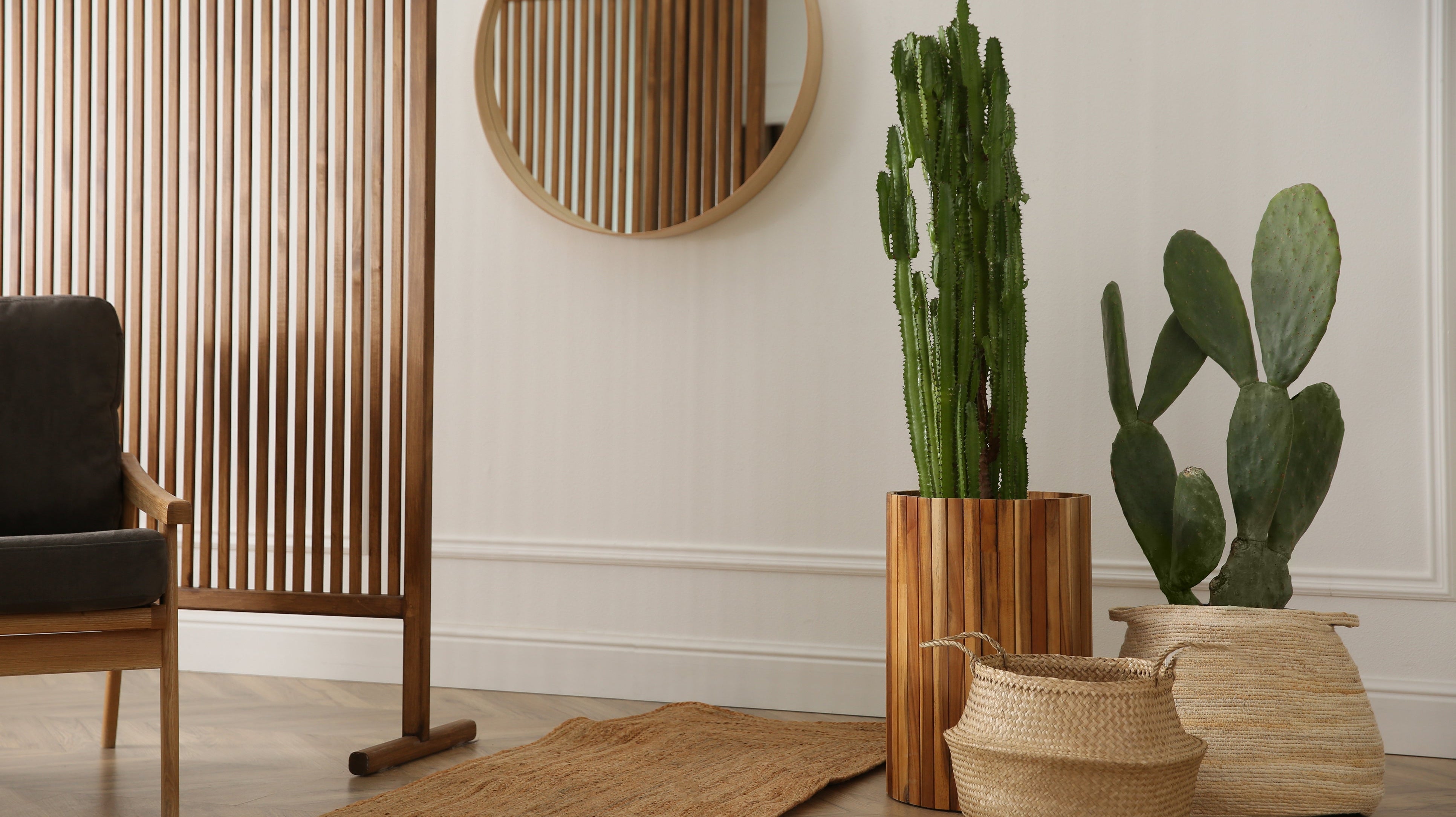 Stylish Pots & Planters: The Perfect Match for Your Indoor Plants