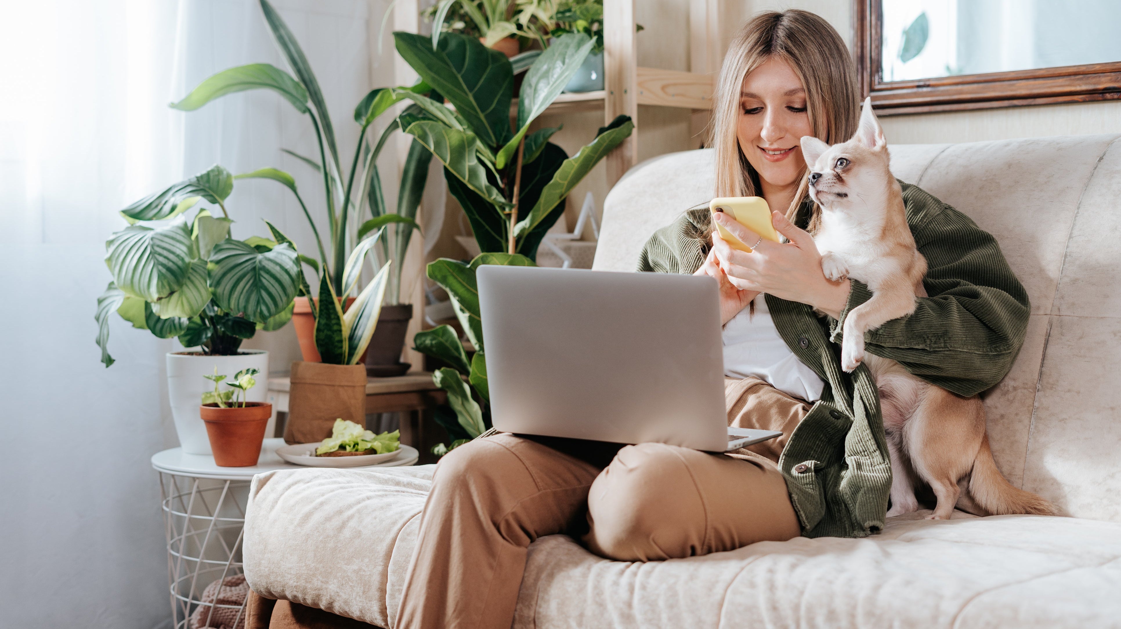 Buy Plants in Dubai – Your One-Stop Online Plant Shop