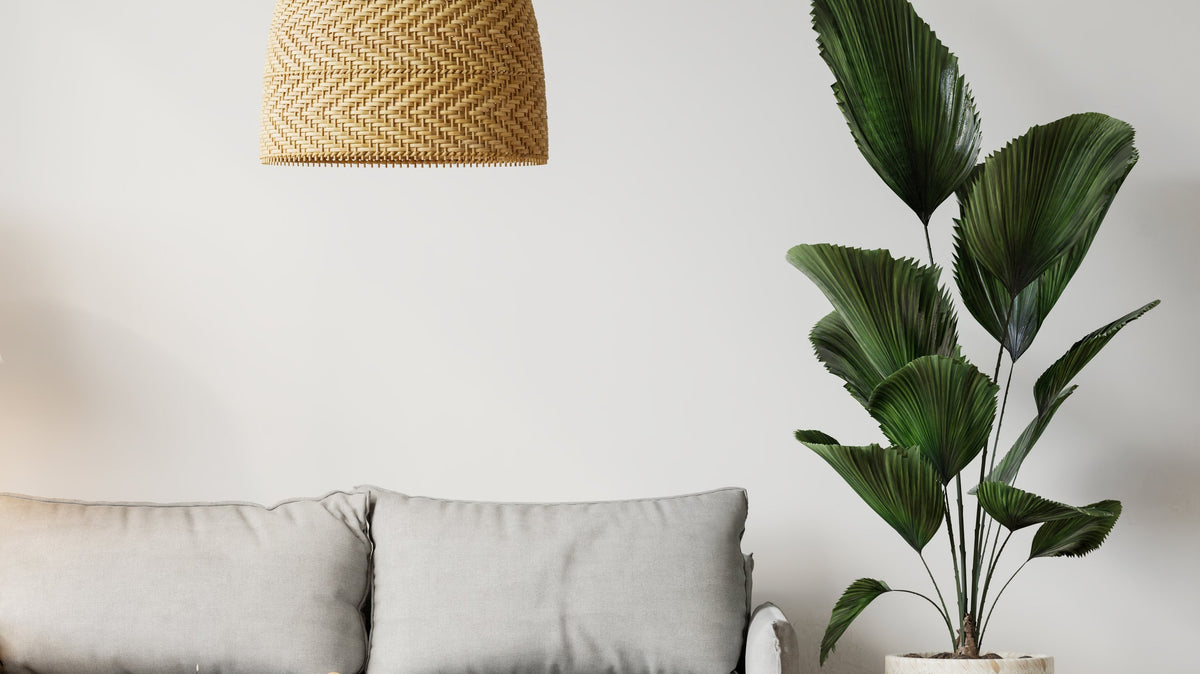Guide to Tall Indoor Plants in Dubai
