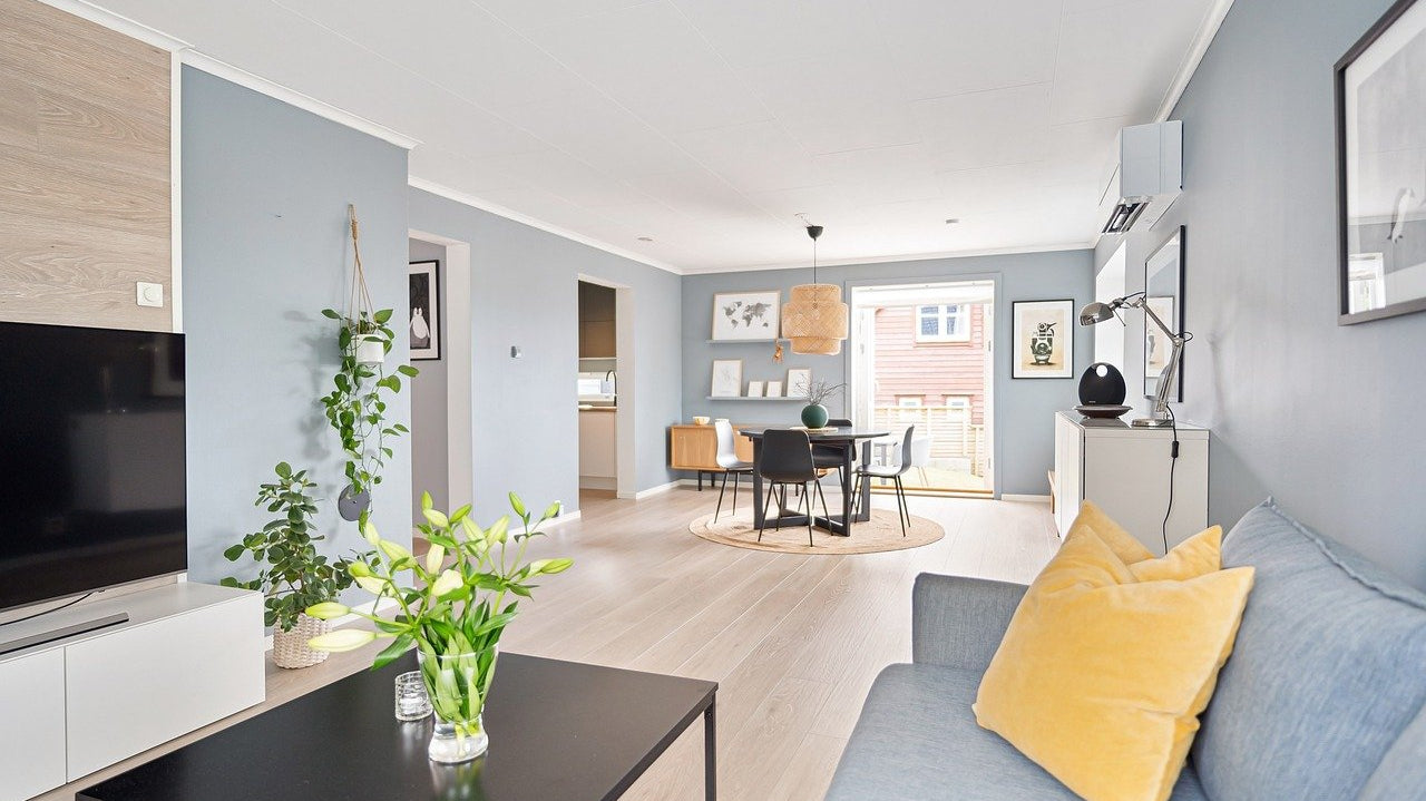 living room with small potted plants - Plant Studio
