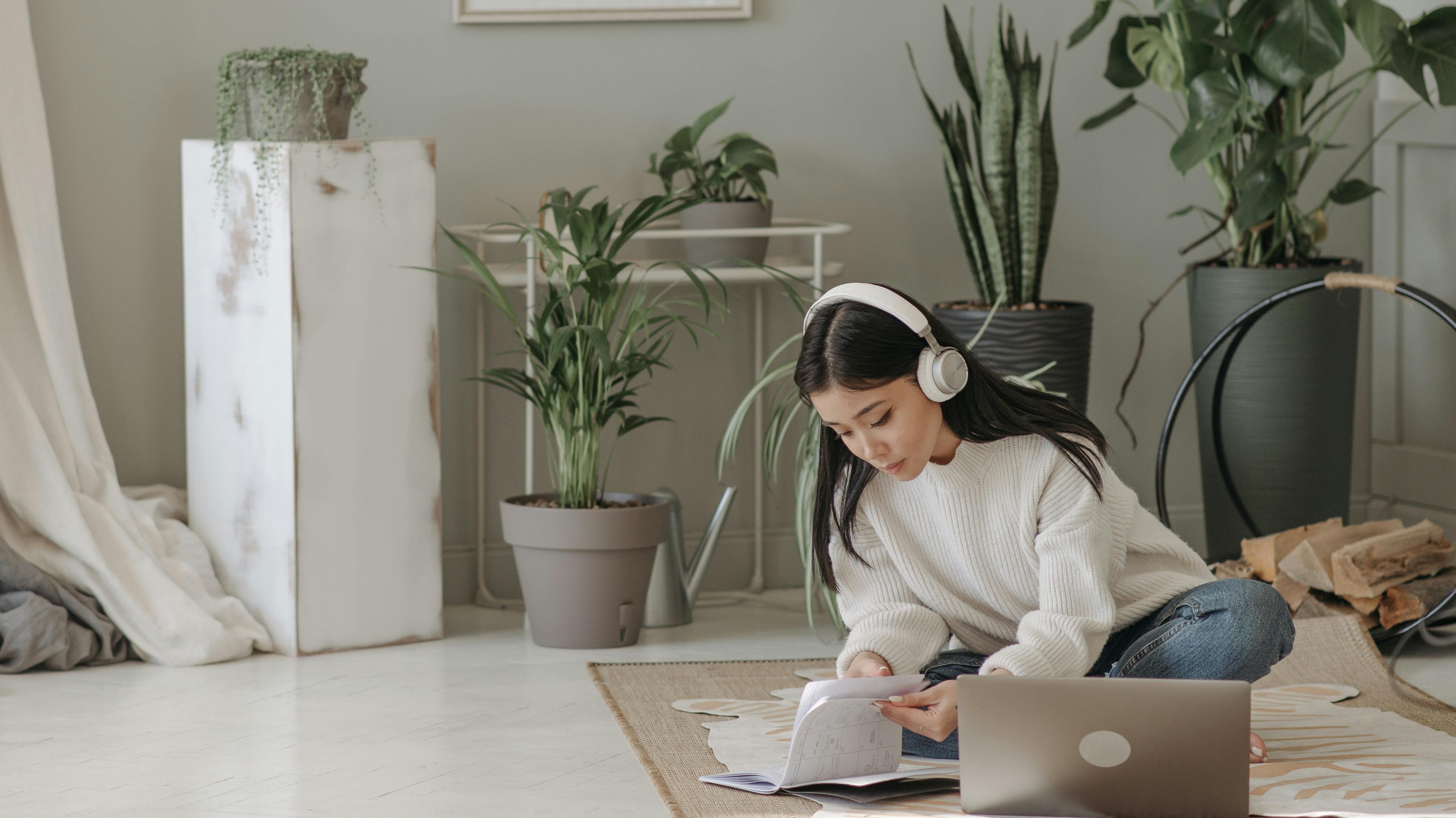 Why More People are Buying Plants Online in Dubai