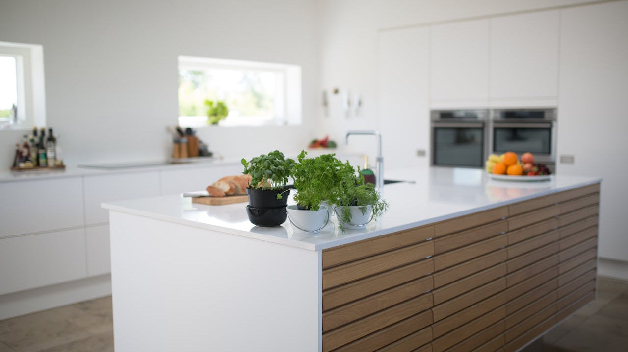 small herb plants in black and white pots placed on top of white kitchen counter