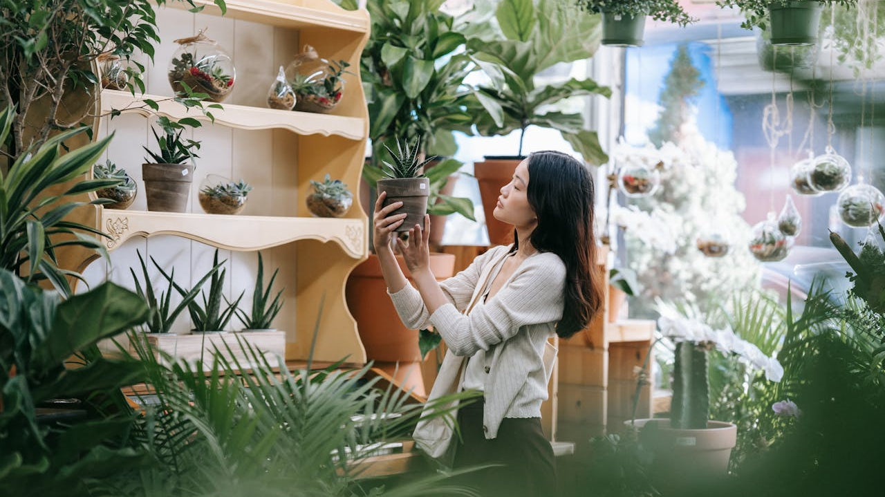 woman in plant shop looking at different potted plants - Plant Studio