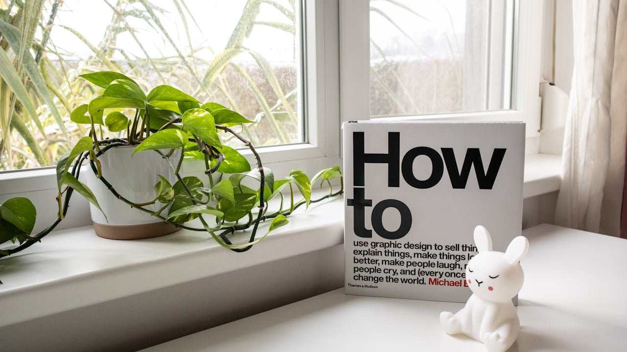 money plant on the side by the window with book and rabbit figurine on the table - Plant Studio