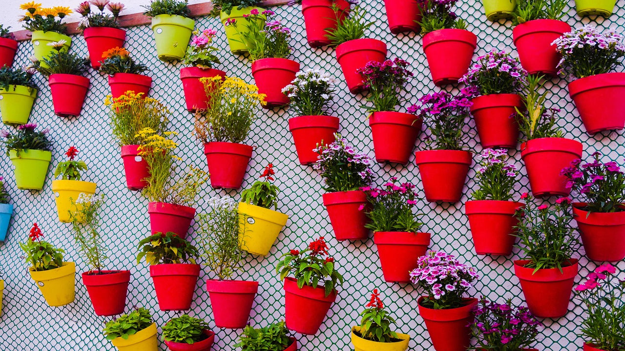 assorted colored pots in wall - Plant Studio