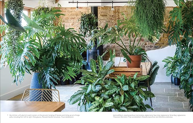 Not Another Jungle: Comprehensive Care for Extraordinary Houseplants Hardcover - Plant Studio LLC