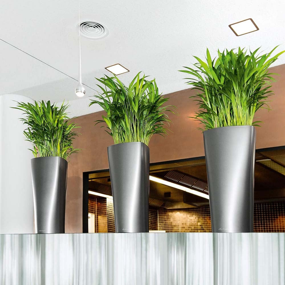 Lechuza Delta Self Watering Pot - Plant Studio LLC