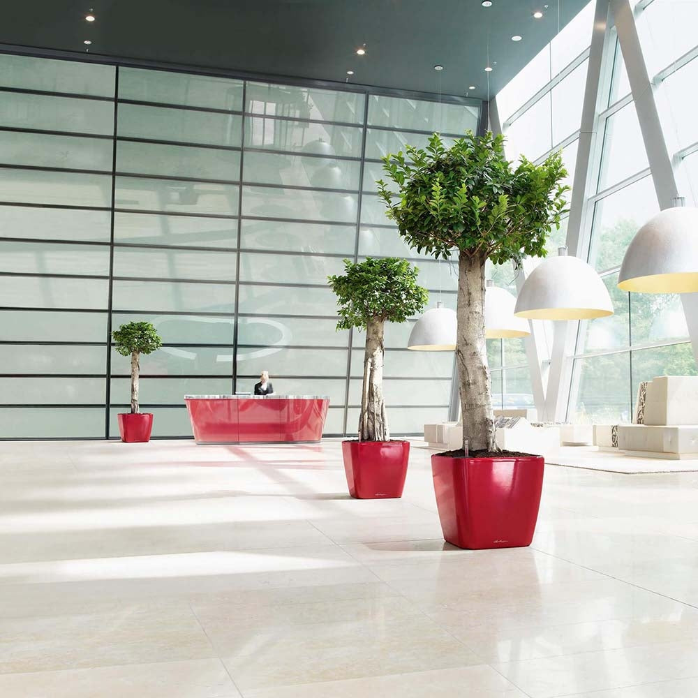 Lechuza Quadro Self Watering Planter - Plant Studio LLC