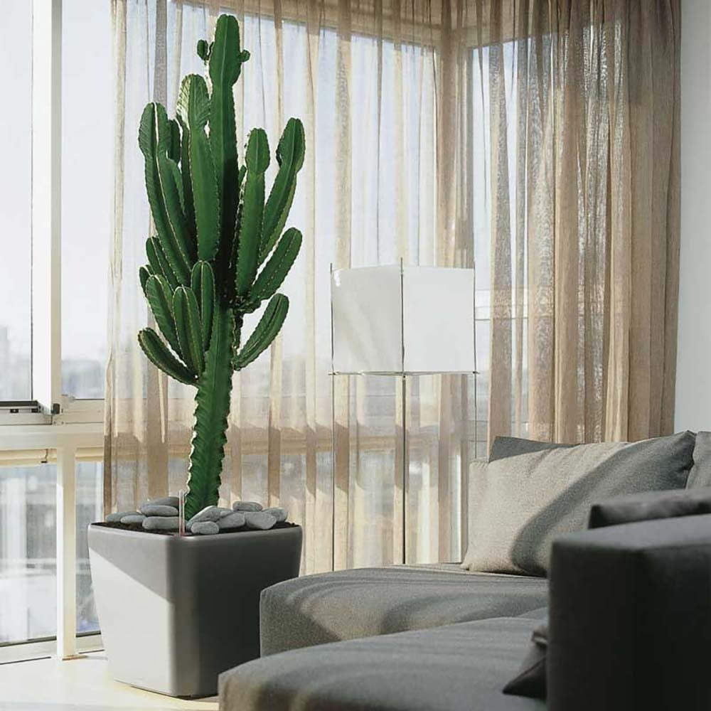 Lechuza Quadro Self Watering Planter - Plant Studio LLC