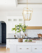 Citrus Lemon Meyer Tree - Dwarf - Plant Studio LLC