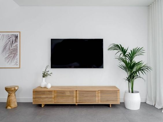 Howea Forsteriana 'Kentia Palm' - Plant Studio LLC