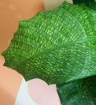 Calathea Musaica Plant Studio LLC