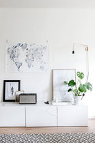 Monstera Deliciosa Plant Studio LLC