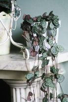 String of Hearts - Ruby Plant Studio LLC