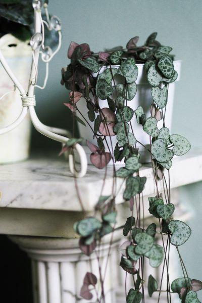 String of Hearts - Ruby Plant Studio LLC