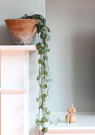 String of Hearts - Ruby Plant Studio LLC