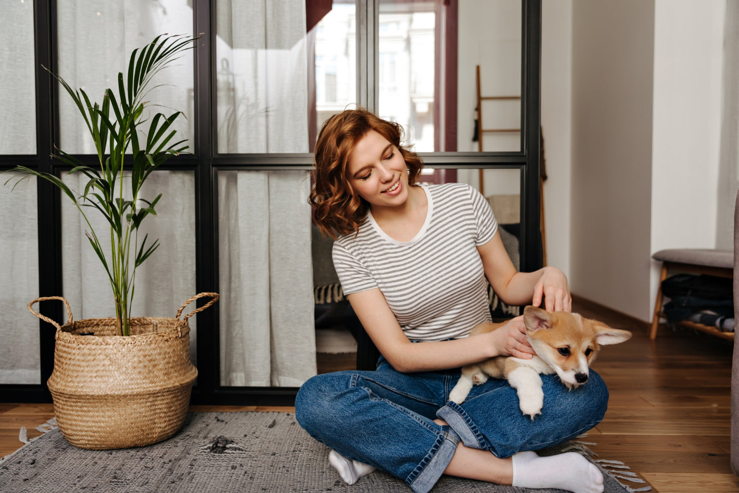 indoor plants in basket pot with woman holding dog