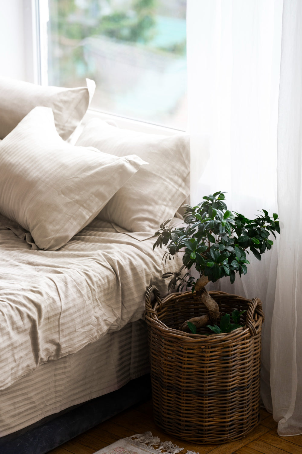 small plant in basket pot placed on bedside - Plant Studio