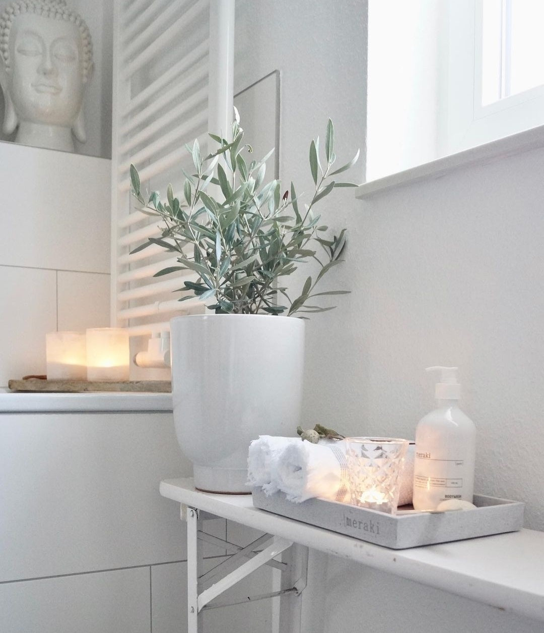 olive tree in white ceramic pot placed in white table - Plant Studio