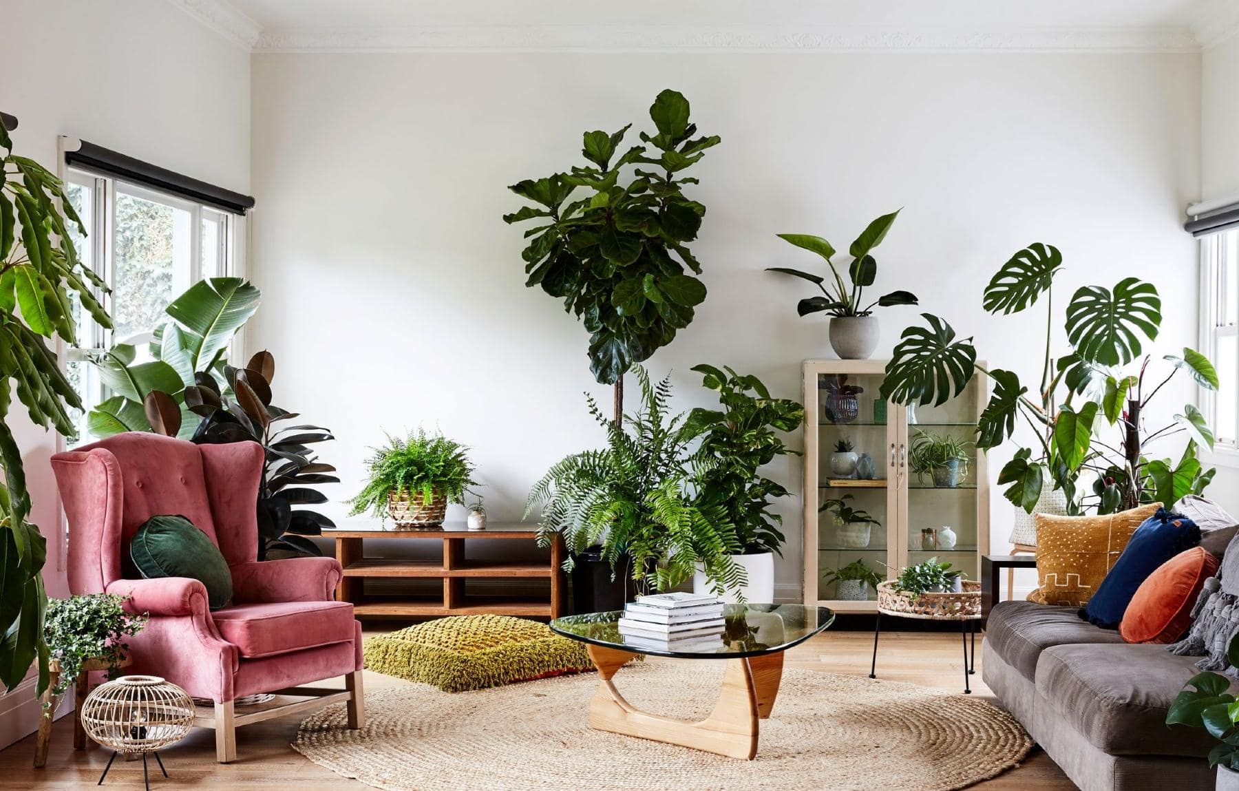 colorful living room with many different potted plants - Plant Studio