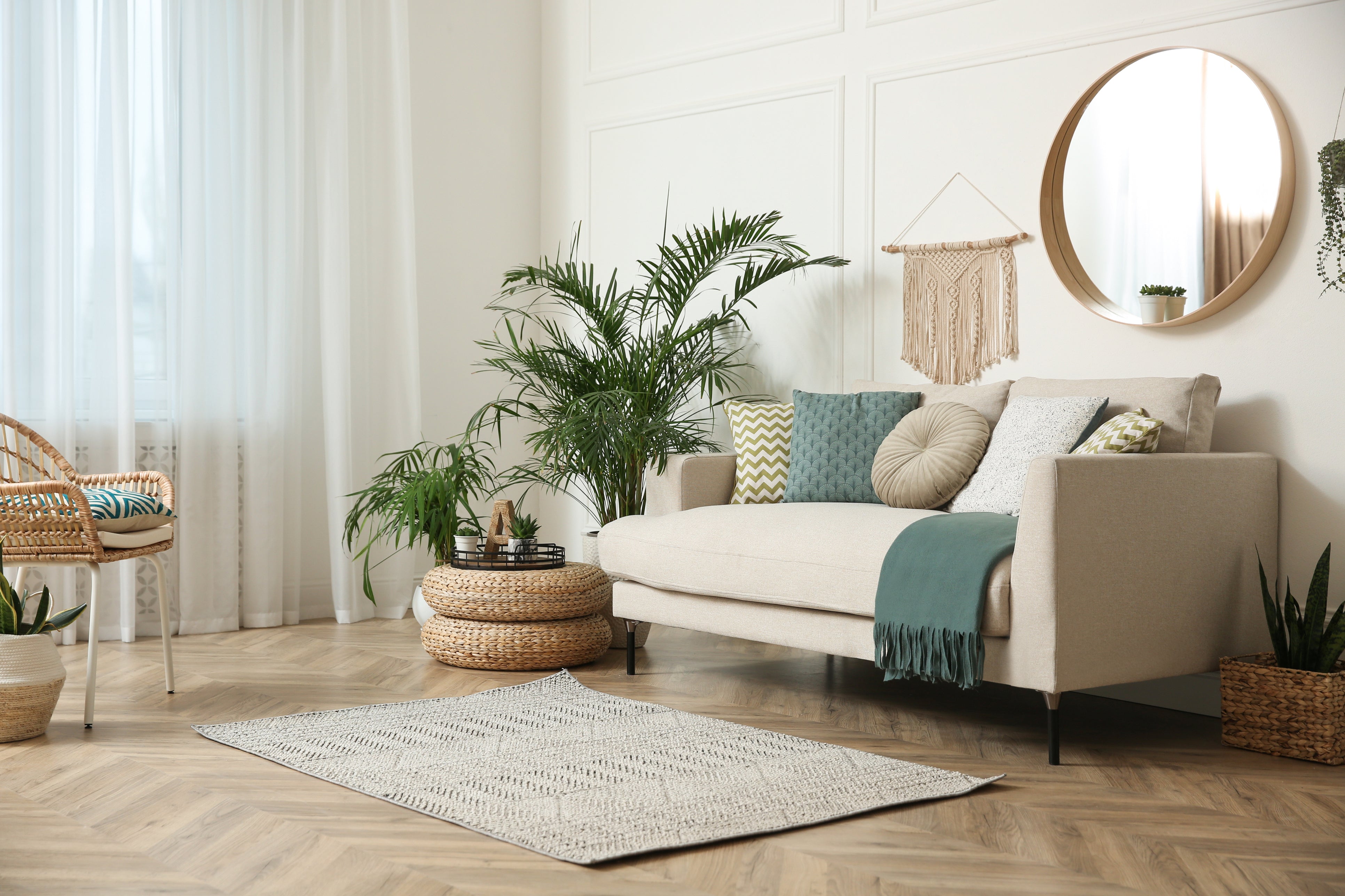 7 Things You Should Know About the Areca Palm
