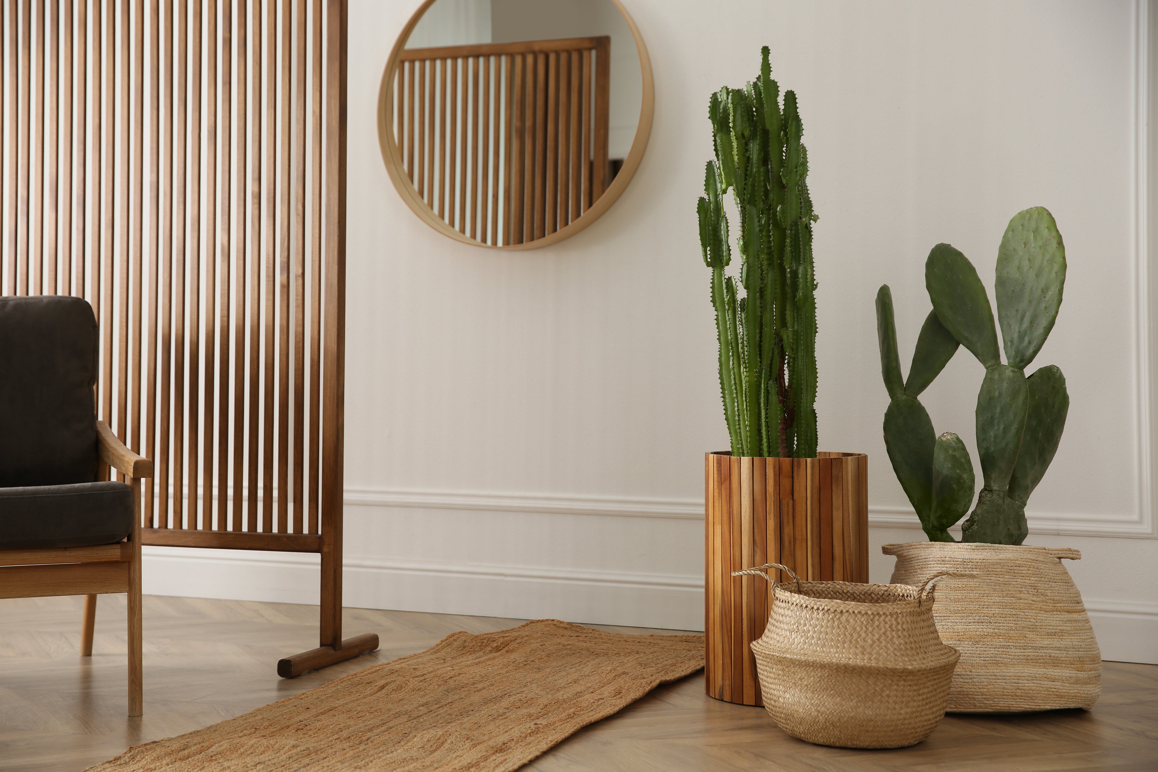 Stylish Pots & Planters: The Perfect Match for Your Indoor Plants