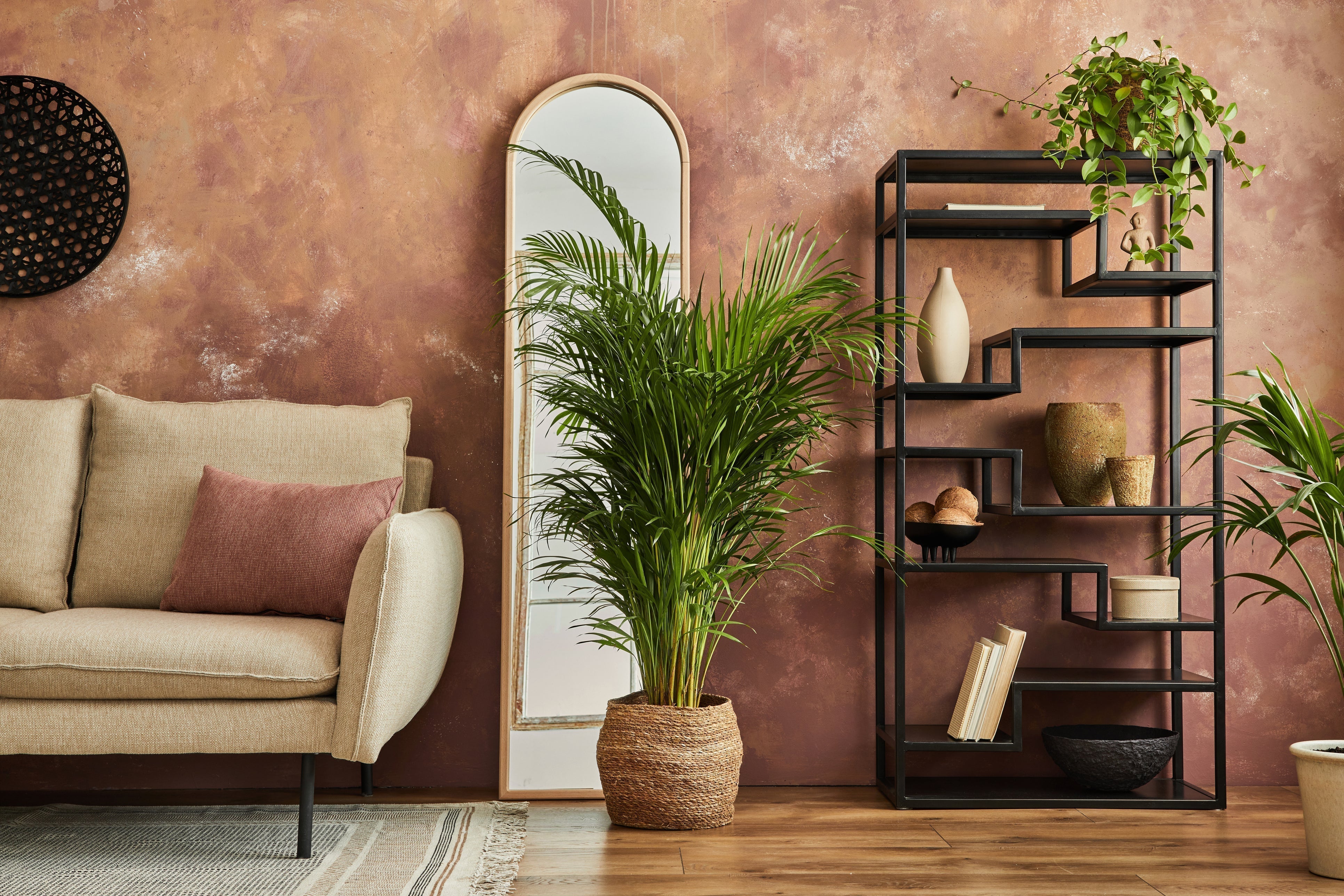 areca palm in living room - Plant Studio