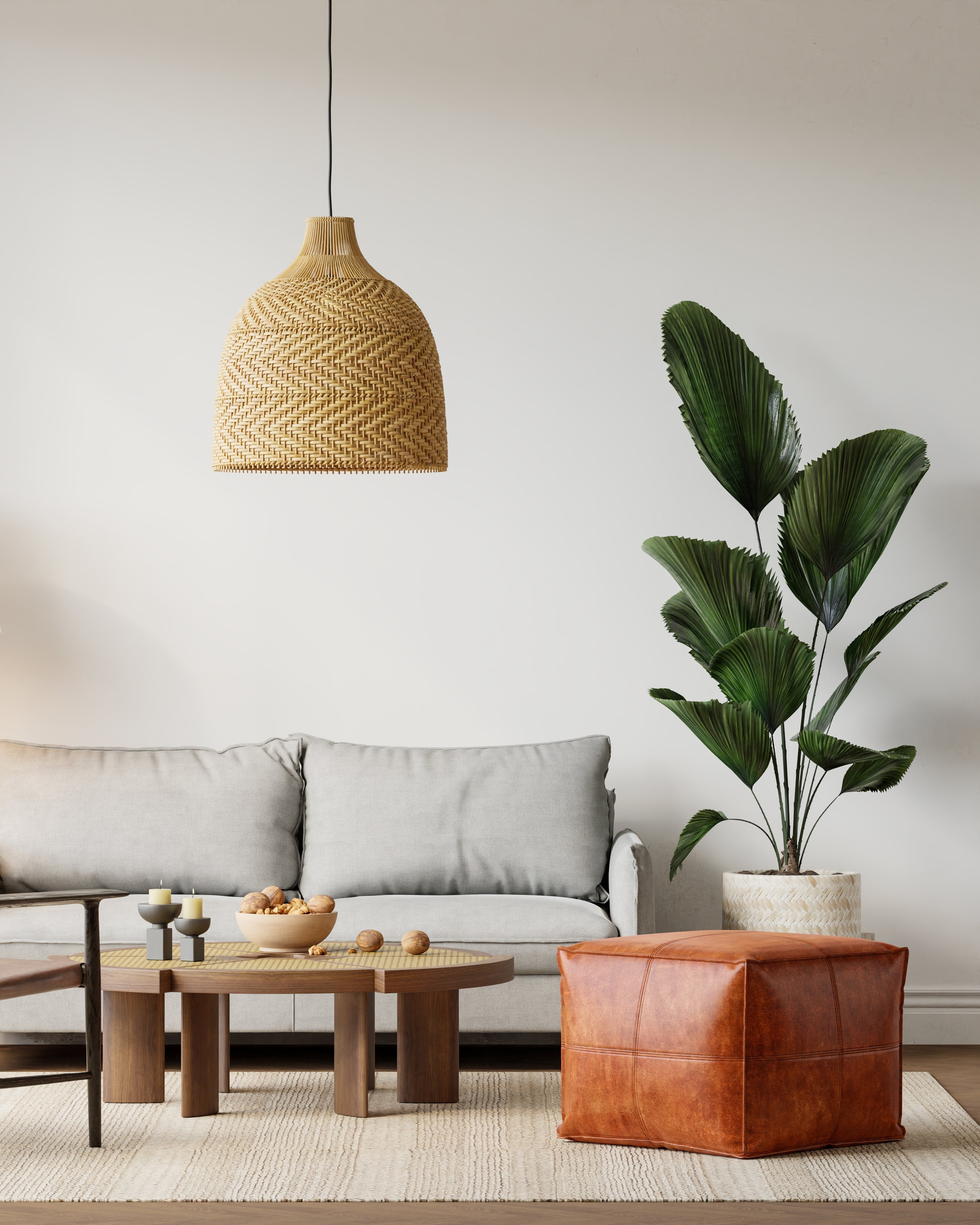 Guide to Tall Indoor Plants in Dubai