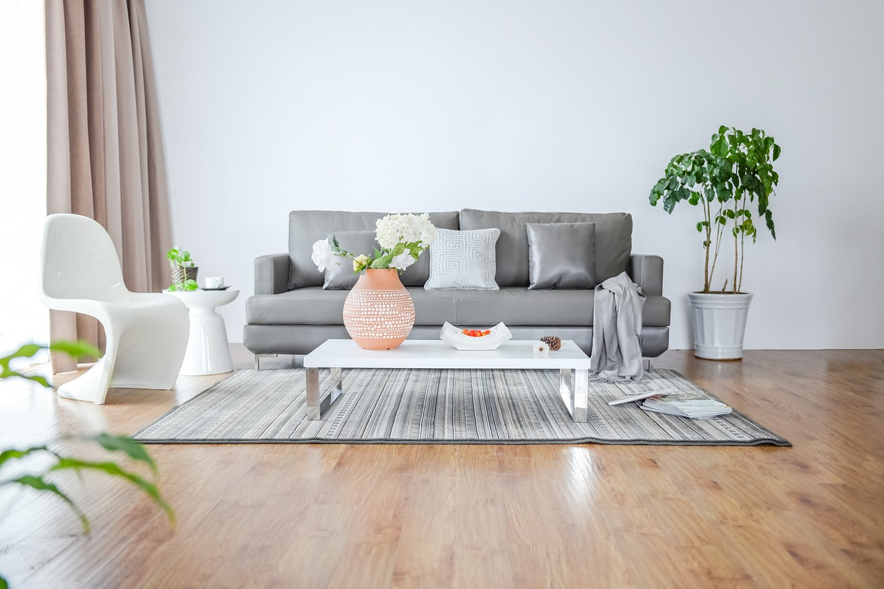 potted plant in living room with gray sofa and striped carpet - Plant Studio