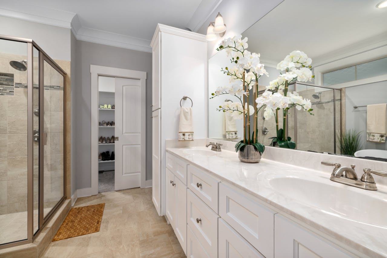 potted white orchid on countertop of restroom - Plant Studio
