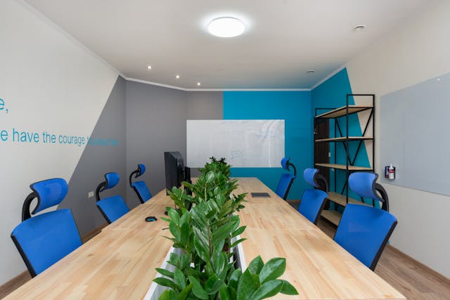 Why Office Plants Are Essential for Every Business