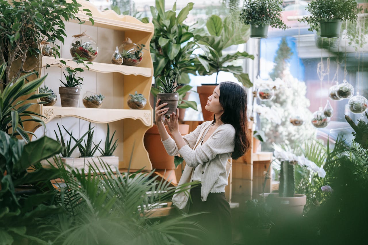 woman in plant shop looking at different potted plants - Plant Studio