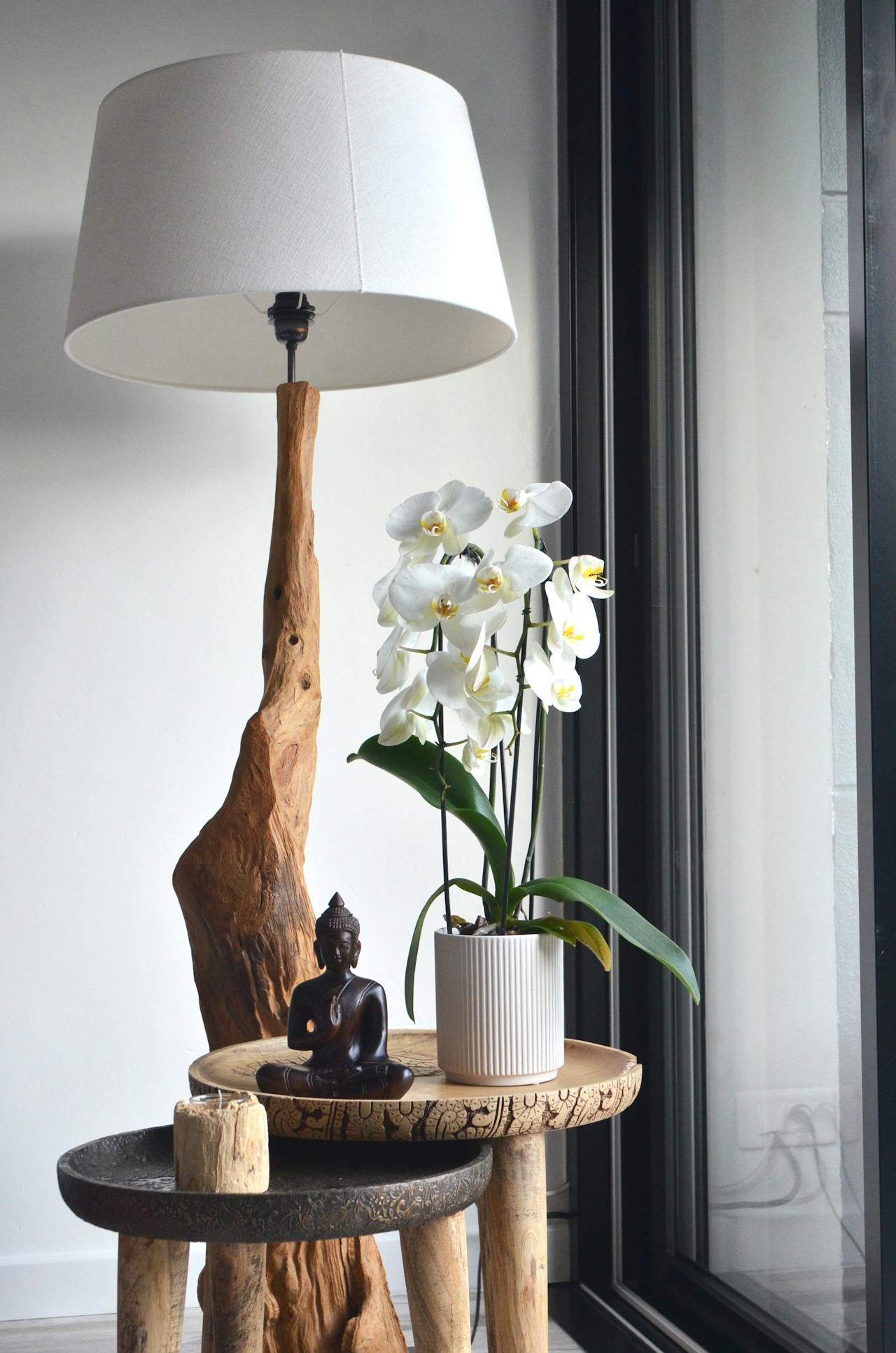 white potted orchid in coffee table with small buddah sculpture - Plant Studio