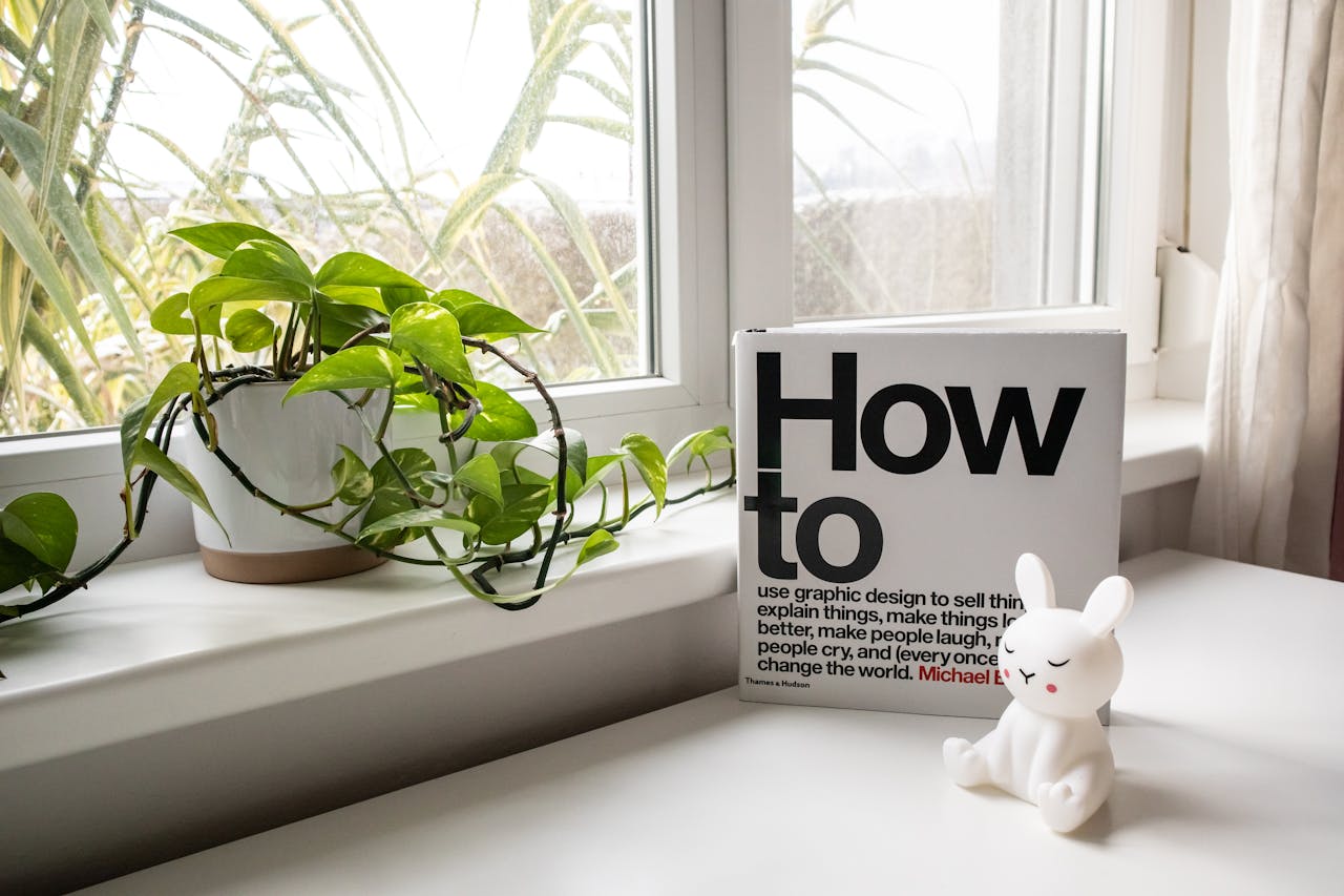 money plant on the side by the window with book and rabbit figurine on the table - Plant Studio