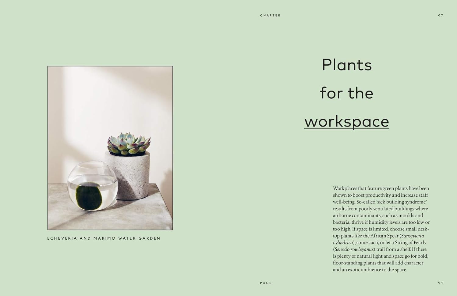 The Healing Power of Plants: The Hero House Plants that Love You Back: Hardcover - Plant Studio LLC