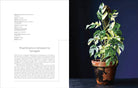 Not Another Jungle: Comprehensive Care for Extraordinary Houseplants Hardcover - Plant Studio LLC