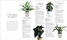 House Plant: Practical Advice for All: Hardcover - Plant Studio LLC