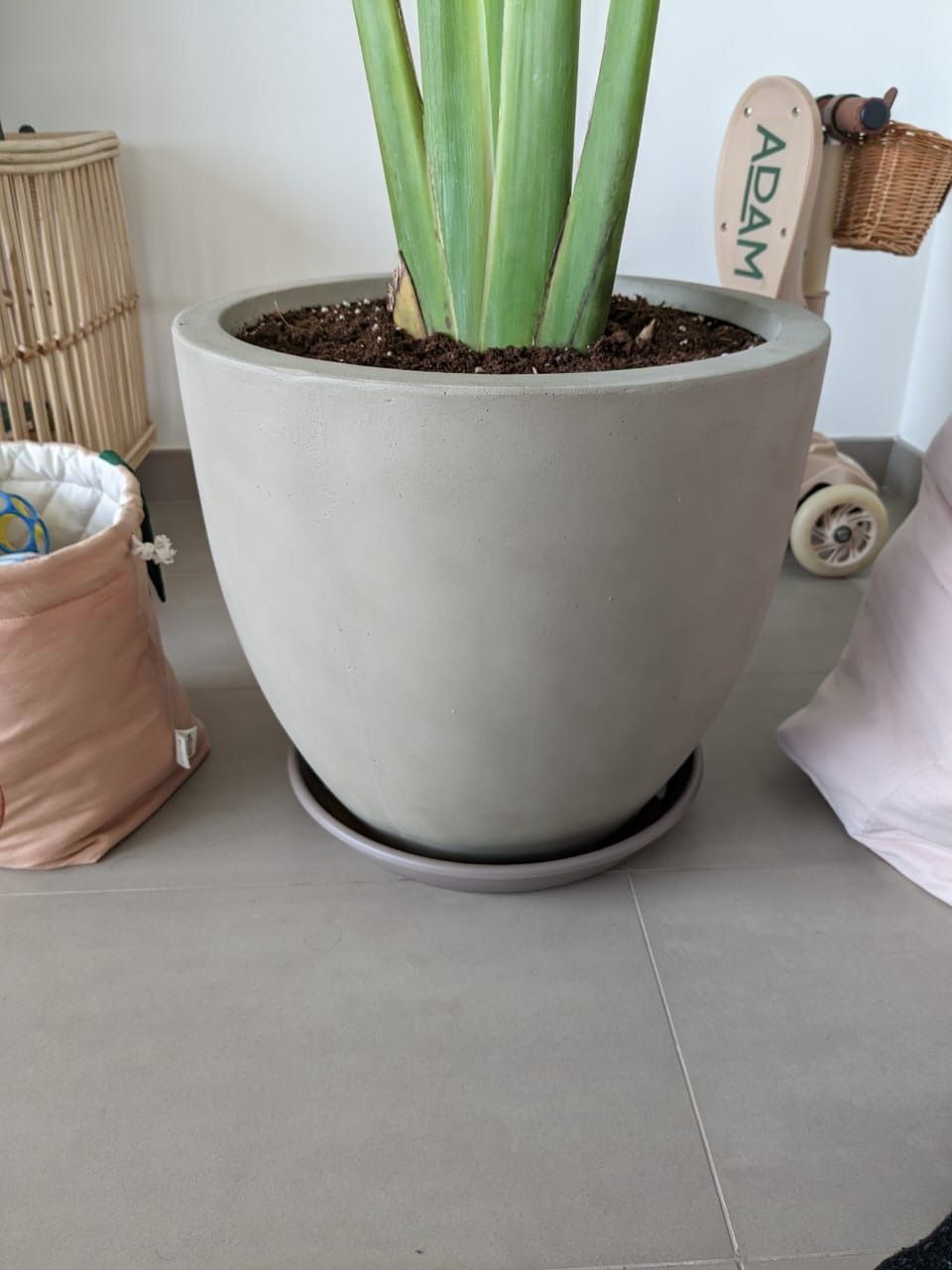 Fiber Clay Pot - Ross - Plant Studio LLC